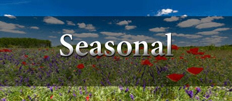 domenic graziano eflorist doylestown